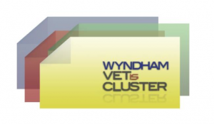 Wyndham VetiS Cluster